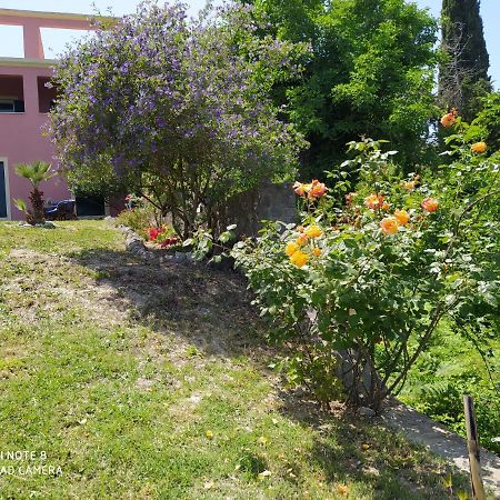 Corfu Villa Galini Potamós Eksteriør billede