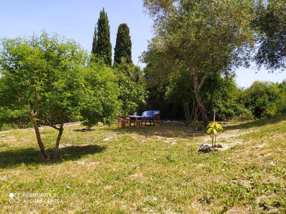 Corfu Villa Galini Potamós Eksteriør billede