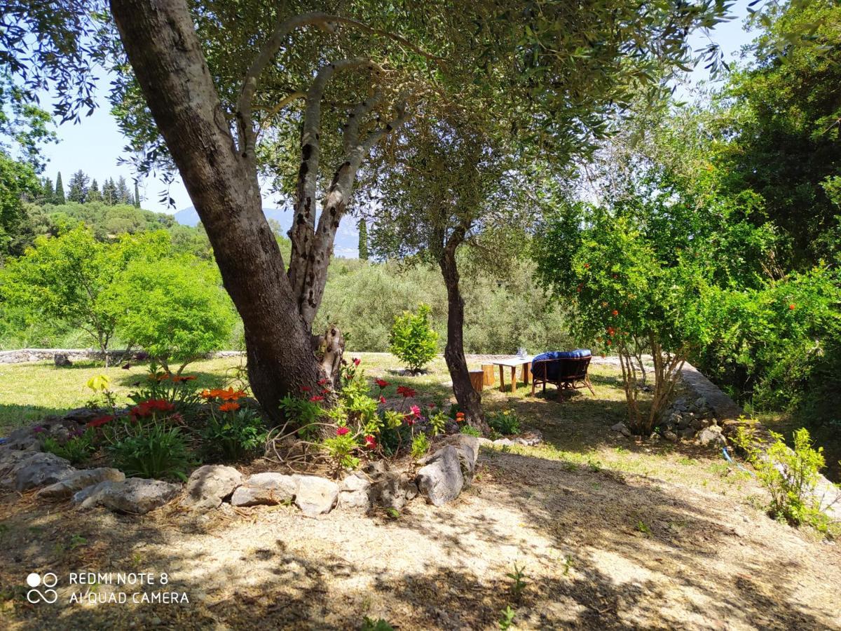 Corfu Villa Galini Potamós Eksteriør billede