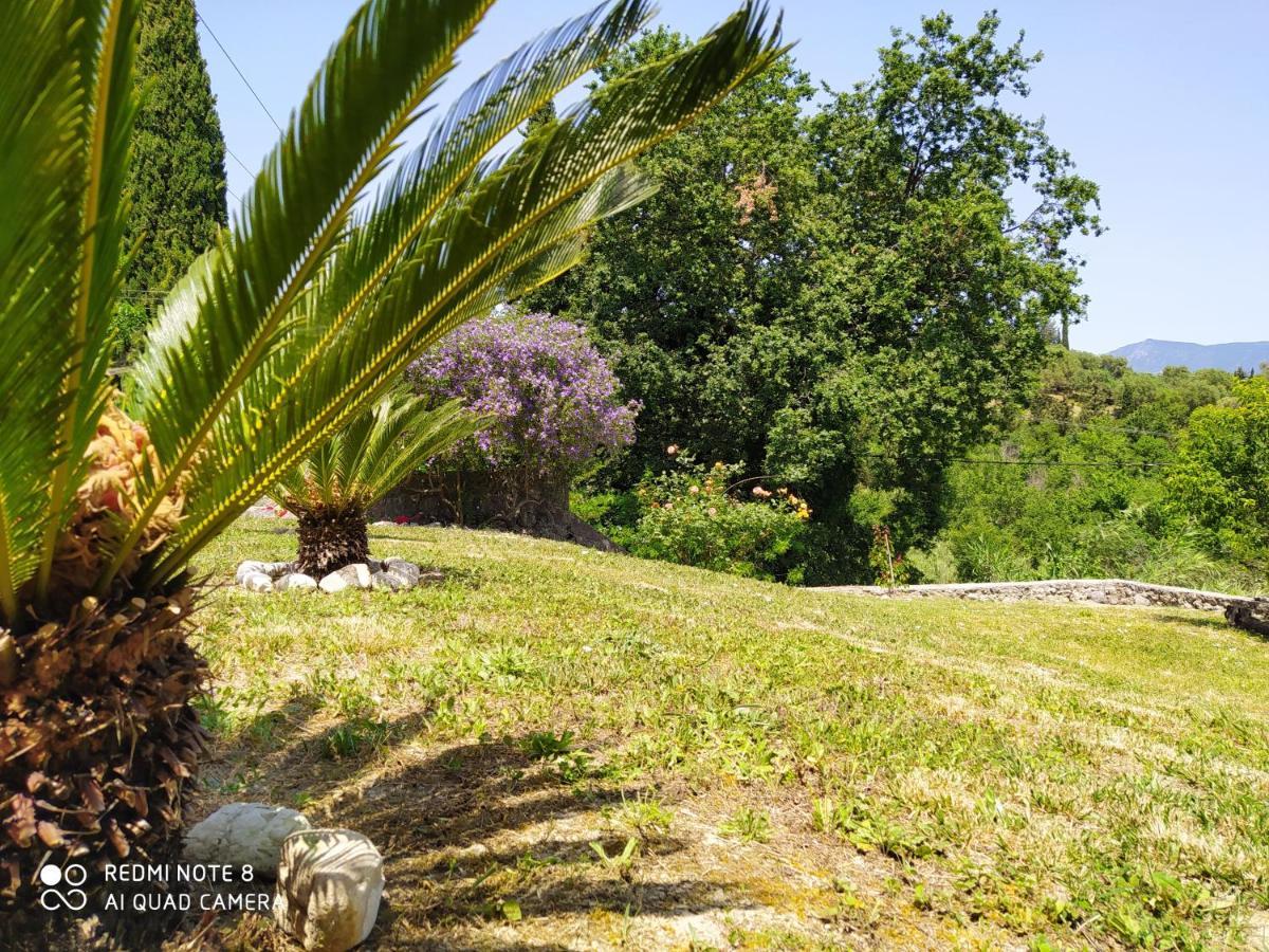 Corfu Villa Galini Potamós Eksteriør billede