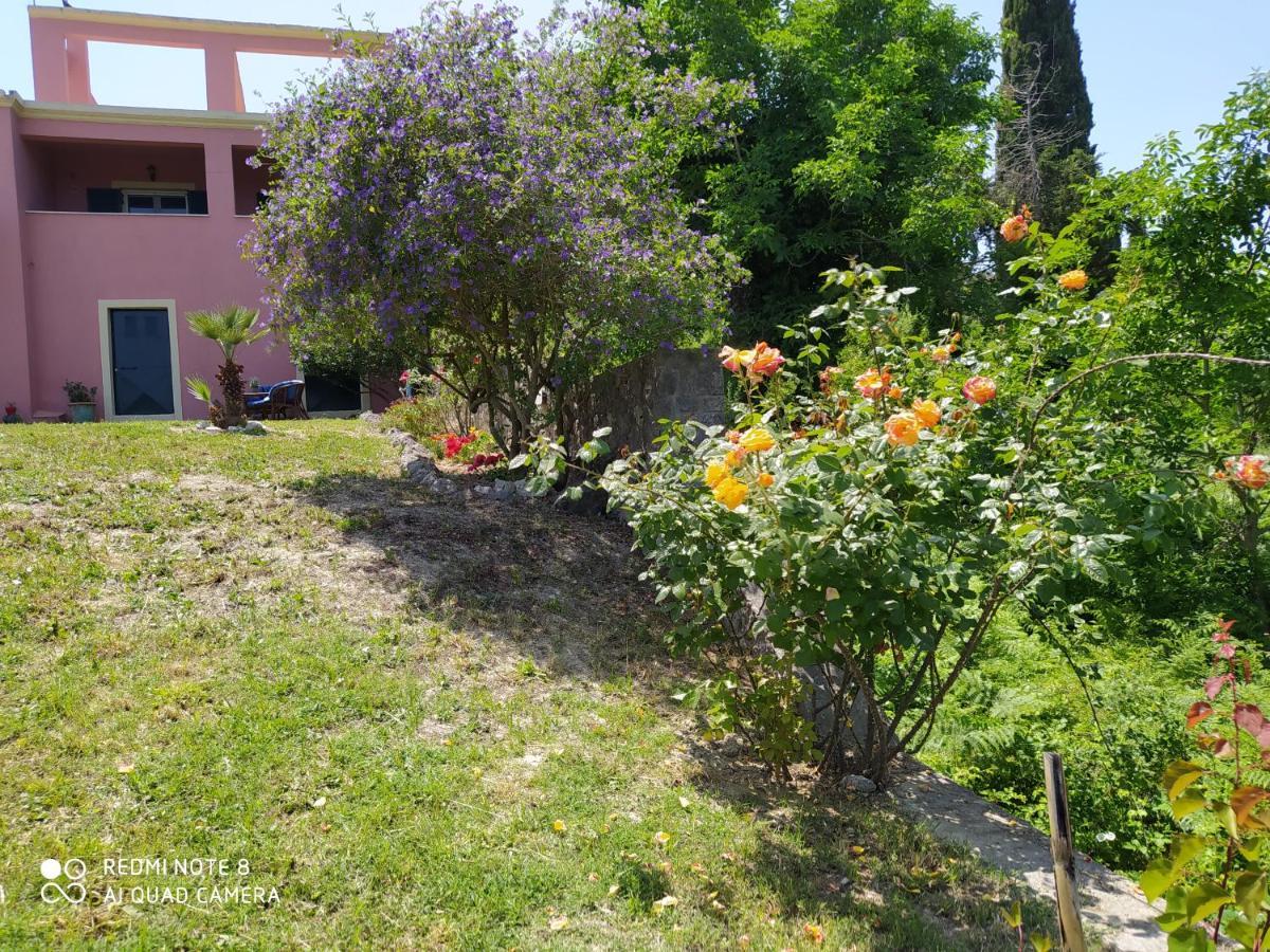 Corfu Villa Galini Potamós Eksteriør billede